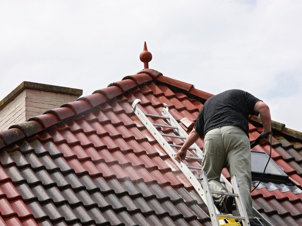 Roof Cleaning about